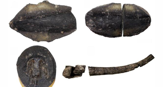 Pulsar - wyjątkowy portal naukowy.