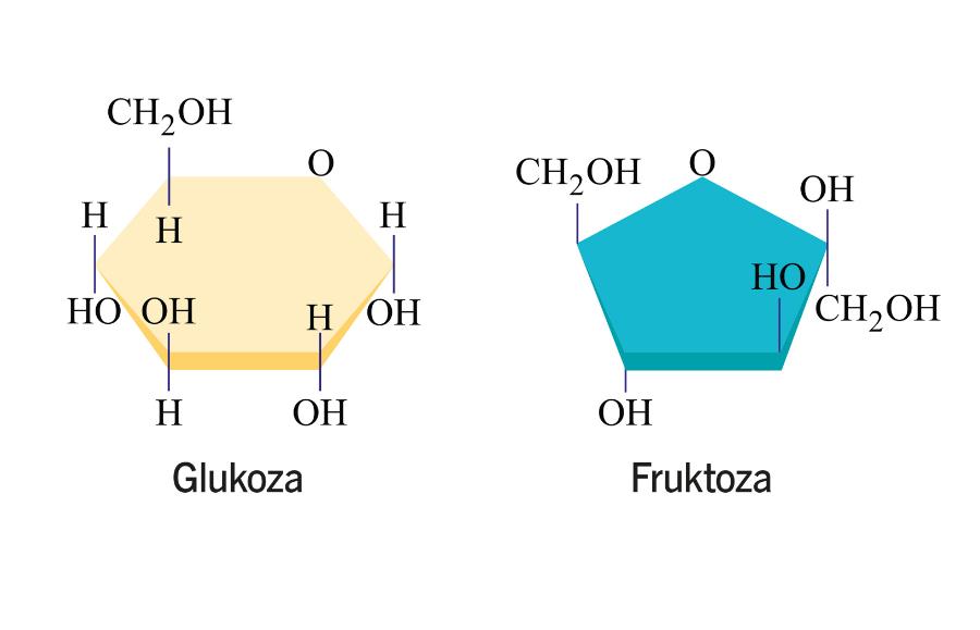 W wodzie cukry tworzą formy pierścieniowe, które lepiej lub gorzej wpasowują się w receptor słodkiego smaku. Fruktoza jest wyraźnie słodsza niż glukoza.
