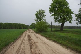Ostrów Lubelski, dawny królewski gościniec