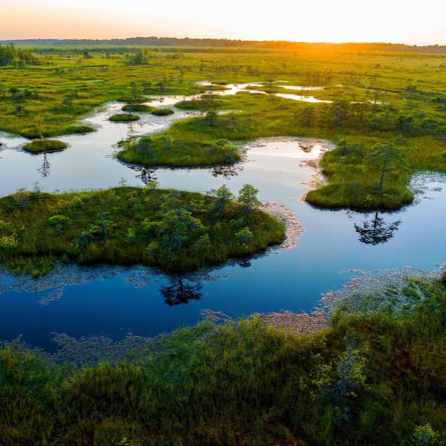 Nawozy azotowe może dać nam natura.