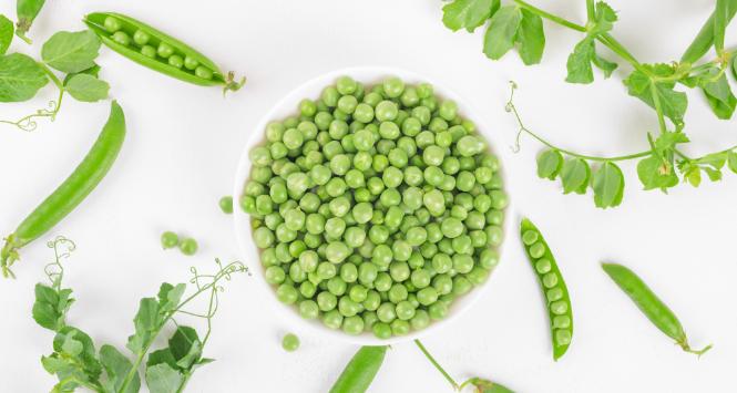 Pulsar - wyjątkowy portal naukowy.