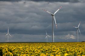 Nie ma osoby, która orientowałaby się w zawiłościach rynku energii, wartego rocznie 200 mld zł. Nikt w rządzie tego nie ogarnia.