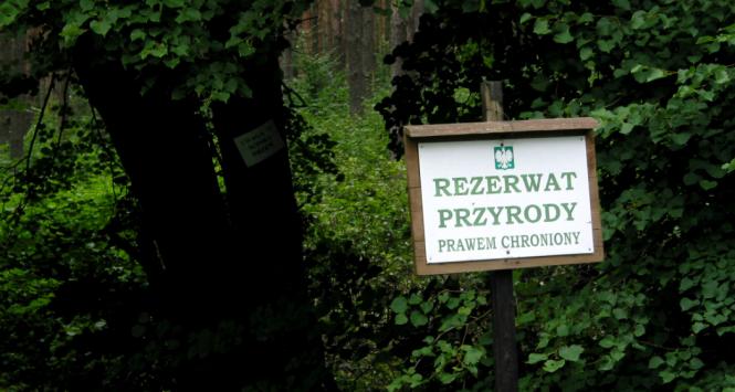 Rezerwat Las Warmiński