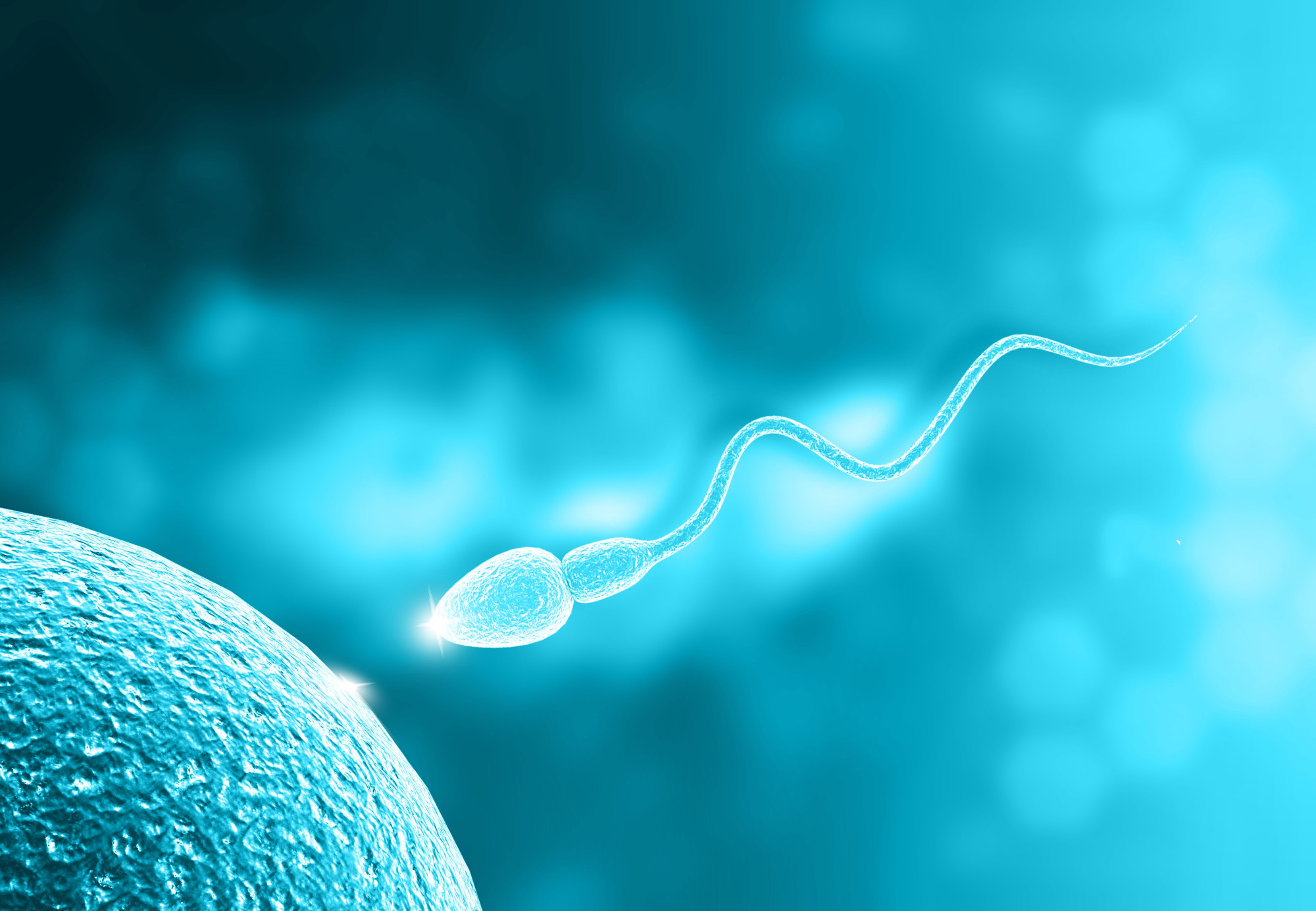 Kosmiczne plemniki wracają do domu