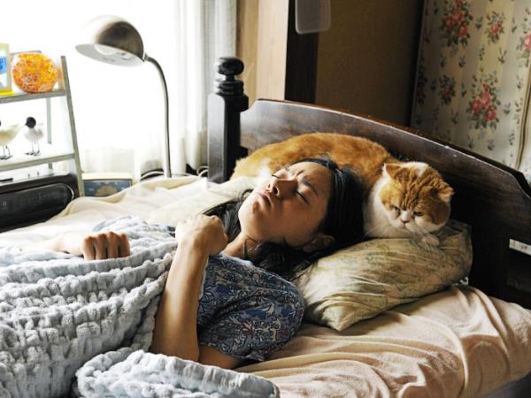 Kadr z filmu „Kot do wynajęcia”