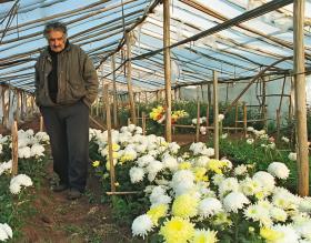 Prezydent José Mujica, najskromniejszy żyjący przywódca.