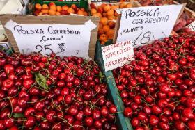 Ubiegłoroczne ceny, po ostatnich kaprysach pogody, mogą być w tym roku nieosiągalne.