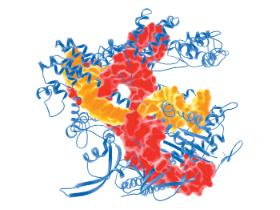 Za pomocą CRISPR da się zmodyfikować fragment DNA, czyli uszkodzić jakiś gen, tym samym go wyłączając, albo zmienić w inny wariant.