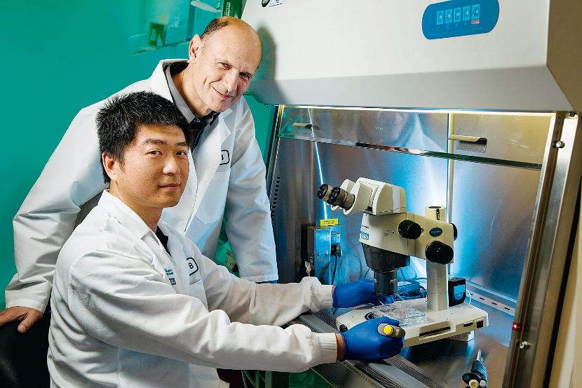 Poskramiacze komórek. Juan Carlos Izpisua Belmonte i Jun Wu z kalifornijskiego Instytutu Salka.