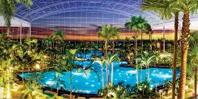 Suntago Wodny Świat