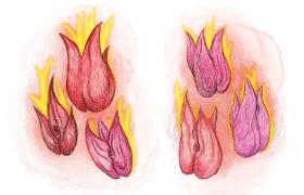 „Lekarz powinien życzliwie i kulturalnie traktować pacjentów, szanując ich godność osobistą, prawo do intymności i prywatności” (art. 12 ust. 1. ustawy o zawodach lekarza i lekarza dentysty).