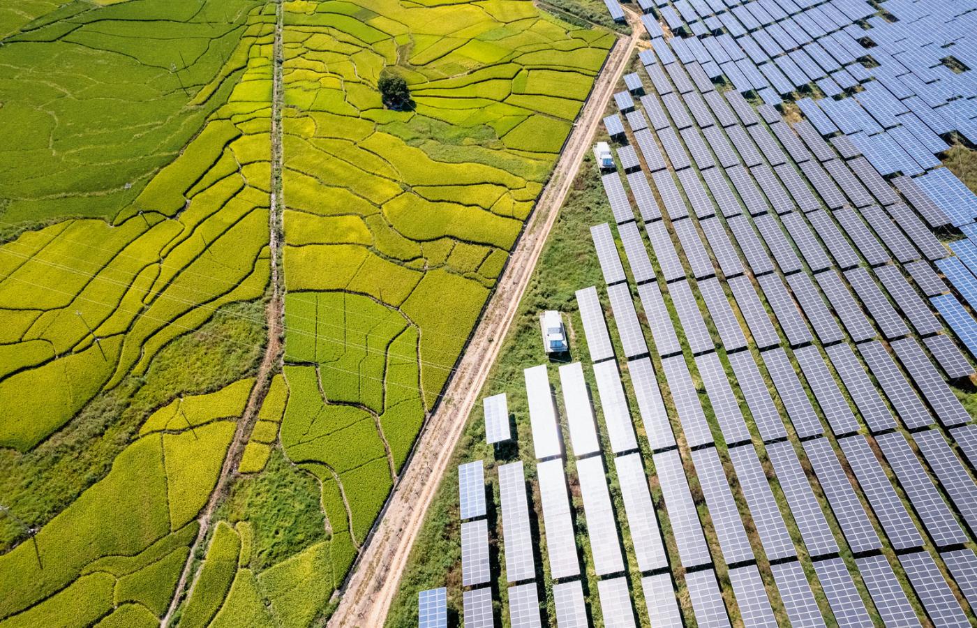 Chiny dominują dziś w zielonych biznesach. Tamtejsze fabryki wytwarzają 80 proc. paneli słonecznych. Na fot. farma w prowincji Fujian.