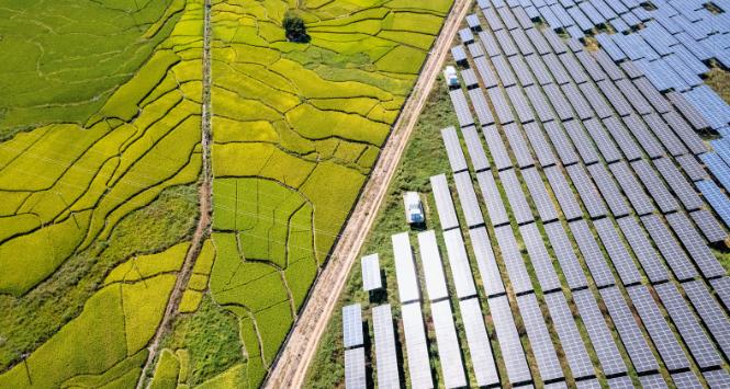 Chiny dominują dziś w zielonych biznesach. Tamtejsze fabryki wytwarzają 80 proc. paneli słonecznych. Na fot. farma w prowincji Fujian.