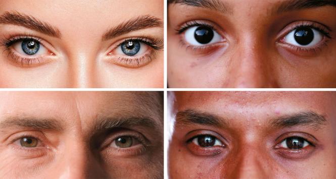 W przypadku ludzi przyzwolenie na kontakt wzrokowy jest o wiele większe niż u pozostałych małp człekokształtnych.