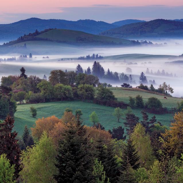 Panorama Pogórza Przemyskiego.
