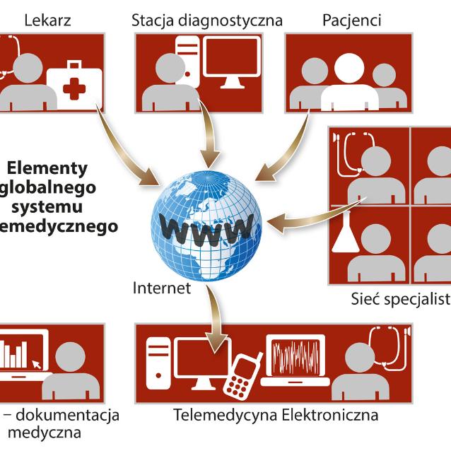 Elementy globalnego systemu telemedycznego.