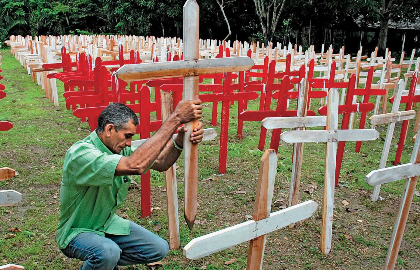 W pobliżu miejsca, gdzie zamordowano ekolożkę Dorothy Stang, ustawiono 774 białe krzyże symbolizujące zabitych obrońców lasów amazońskich w Brazylii. 48 czerwonych krzyży pokazuje, ilu osobom grożono śmiercią.