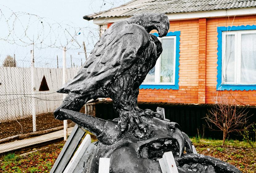 Berkut to nazwa orła przedniego oraz kolonii karnej w obwodzie swierdłowskim.