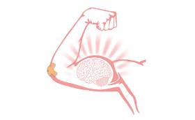 Hansonowie uważają, że aby rozwinąć jakąś zdolność psychiczną, której deficyt człowiek sobie uświadamia, należy często ją praktykować, choćby w formie ćwiczeń.