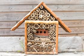 2. Znajdź miejsce na ul – coraz więcej osób decyduje się na hodowanie pszczół w ogrodach. Jeśli nie chcesz zajmować się pszczelarstwem, załóż dzikim pszczołom domek. Domki dla pszczół możena też założyć w parku albo na łące.