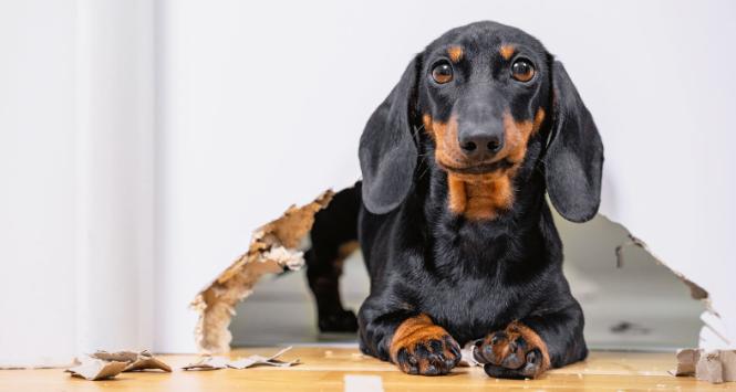 Wstyd można czuć na różnych poziomach, tak samo jak różnej głębi mogą być normy, których przełamanie do niego prowadzi.