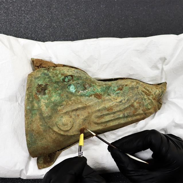 Pulsar - wyjątkowy portal naukowy.