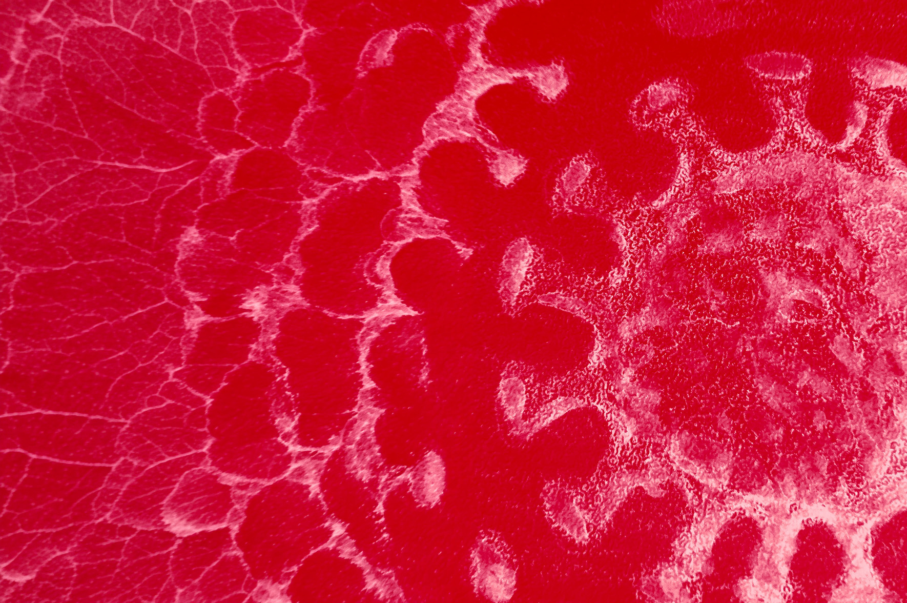 Wirus HIV ukrywa się w niejednych limfocytach T. Być może jest więc wreszcie szansa, by go eliminować