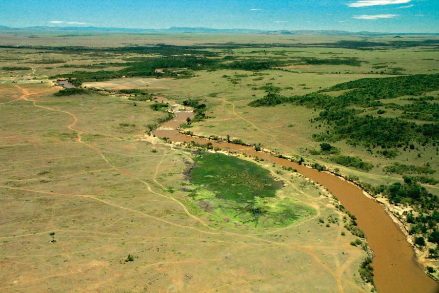 Masai Mara (Kenia) to miejsce tzw. wielkich migracji antylop gnu i zebr.