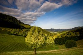 Aargau Jura Park, rezerwat przyrody położony w górach Jura, rozpostarty na obrzeżach miasteczka Klus między trzema kantonami: Zurych, Berno i Bazylea oraz dwoma szczytami: Weissenstein i Wasserfallen. To miejsce, gdzie – jak się sądzi – można złapać oddech. Na rozległych zielonych pagórkach napotka się pozostałości po dawnych twierdzach, wiodły tędy niegdyś kluczowe szlaki tranzytowe. Teraz prowadzi się tu najwyżej gospodarstwa, które nie zakłócają krajobrazu, ale urokliwie go dopełniają. Wytoczono tu poza tym liczne ścieżki rowerowe (o pieszych nie wspominając). Rezerwatów przyrody jest w Szwajcarii całe mnóstwo.