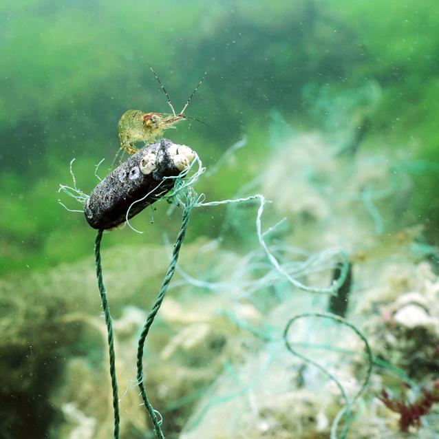 Plastik w morzach i oceanach: jest lepiej, ale nadal bardzo źle