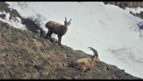 Fot. materiały prasowe