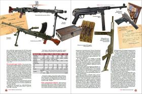 Funkcjonowanie Polskiego Państwa Podziemnego, akcja „Burza', żołnierze powstania.