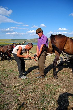 Styna musi być samowystarczalna, nikt  nie pojedzie do miasta,  żeby podkuć konia