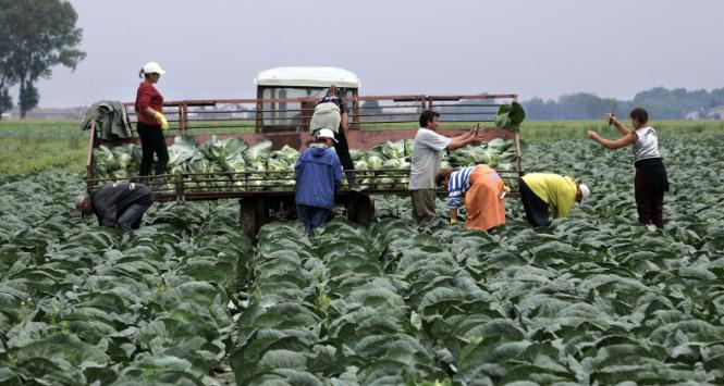 Rezerwuarem, do którego sięgnął w pierwszej kolejności polski biznes, stała się Ukraina.