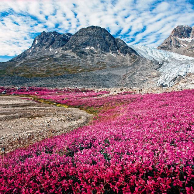 Grenlandia
