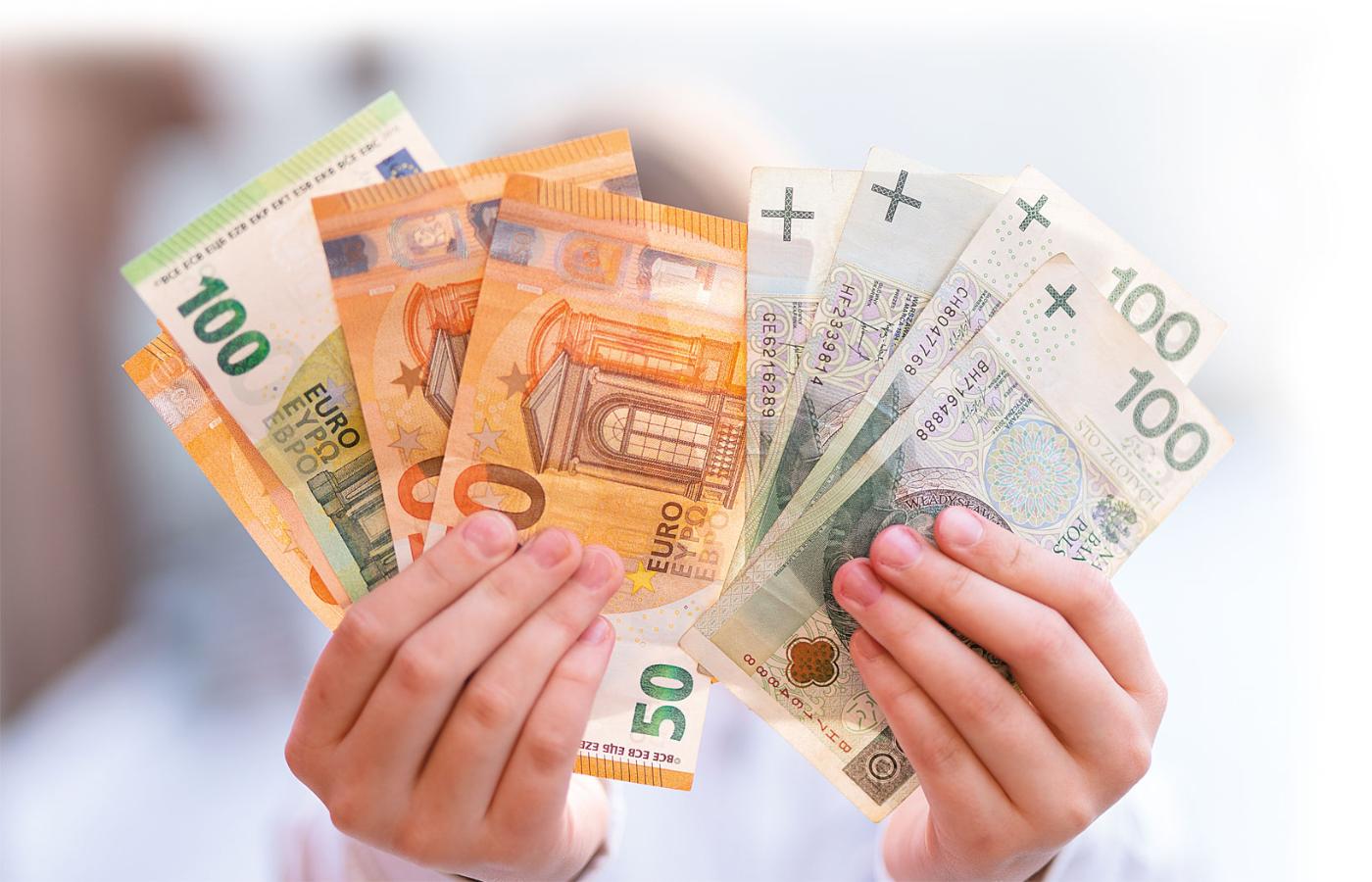 Europejska waluta powstała jako rodzaj eksperymentu, którego nikt wcześniej nie próbował.