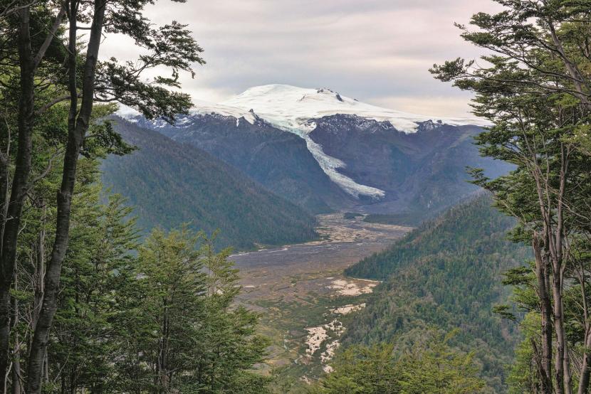Pumalin. Największy na świecie prywatny park przyrodniczy w 2017 r. przeszedł na własność państwa chilijskiego.