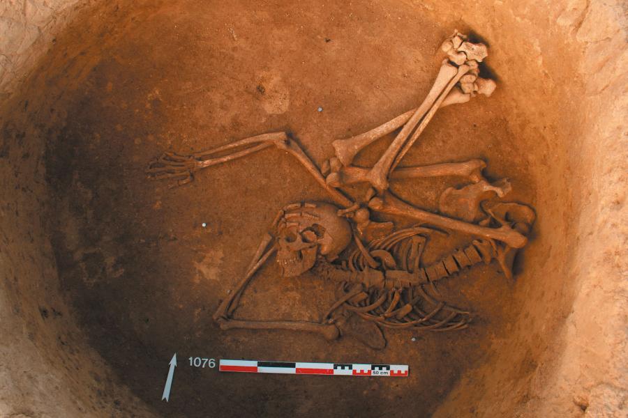 Z analiz genetycznych pochówków w Gougenheim we Francji wynika, że ci, których ciała zostały wrzucone do grobu.
Z “Multi-scale ancient DNA analyses confirm the western origin of Michelsberg farmers and document probable practices of human sacrifice,” Alice Beau i in., Plos One; 5 lipca, 2017 (https://doi.org/10.1371/journal.pone.0179742)