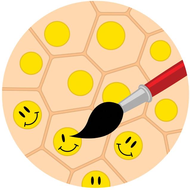 Źródło: “Designer DNA architecture offers precise and multivalent spatial pattern-recognition for viral sensing and inhibition”, Paul S. Kwon i in., Nature chemistry, Tom 12; Styczeń 2020