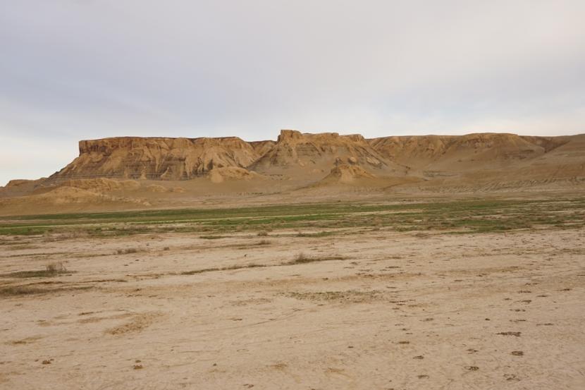 Tu kiedyś był Aral i jego brzeg, teraz po horyzont rozpościera się nowo powstała pustynia: Aral-kum.