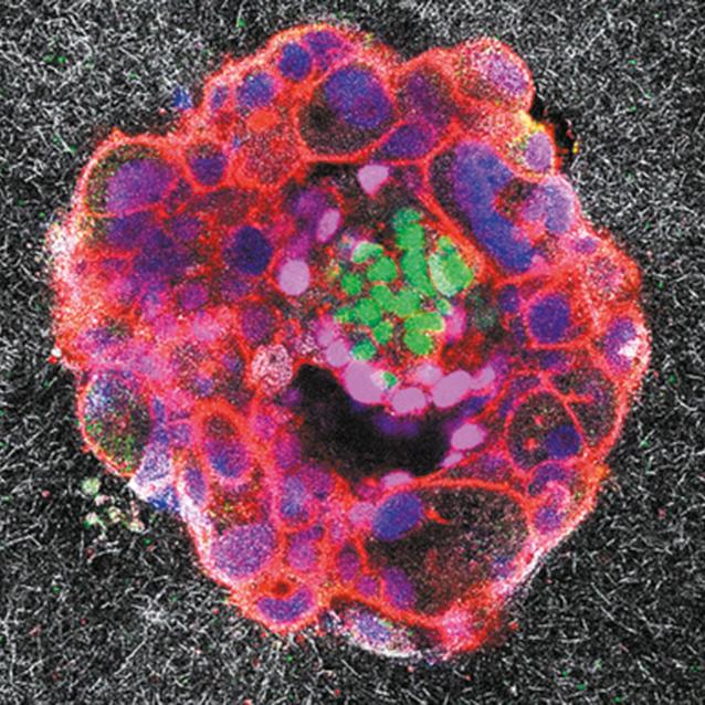 Pulsar - wyjątkowy portal naukowy.