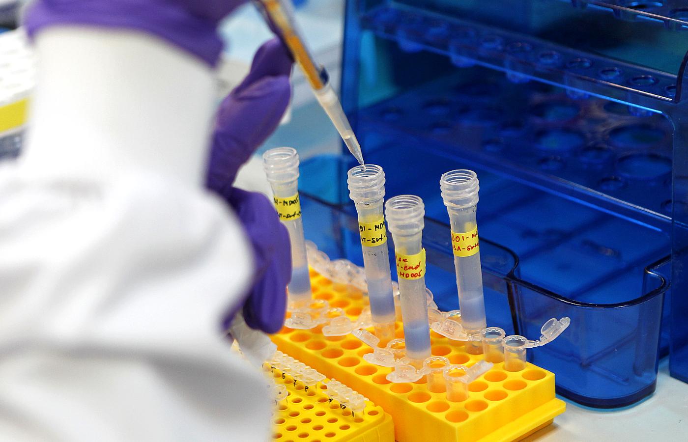 Rząd Wielkiej Brytanii ogłosił dziś dopuszczenie u siebie szczepionki przeciw koronawirusowi opracowanej przez firmę Pfizer we współpracy z niemiecką spółką BioNTech.