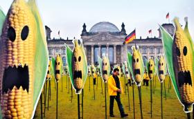 Berlin, protest przeciw GMO.