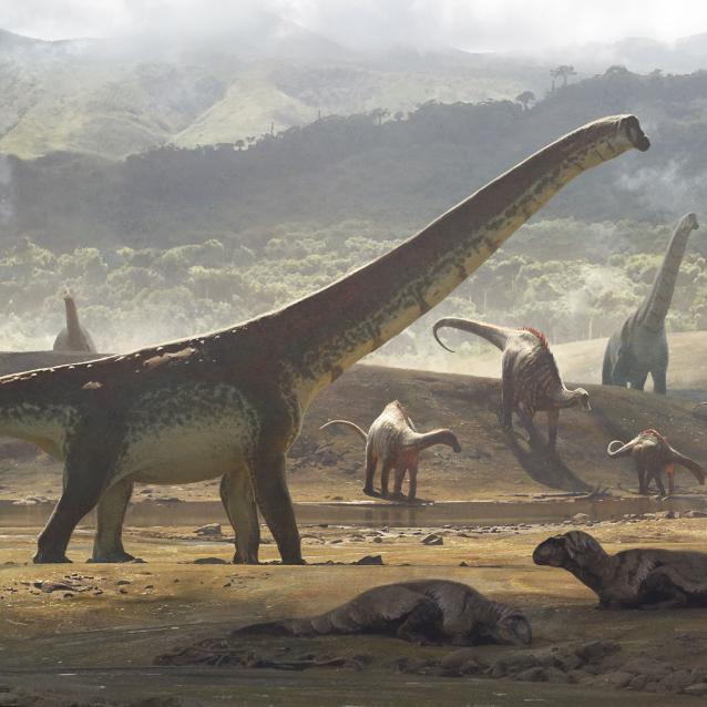 Zauropody, takie jak Argentinosaurus, osiągnęły większe rozmiary niż jakakolwiek inna grupa kręgowców lądowych.