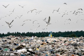 Większość odpadów komunalnych trafia w Polsce od razu na wysypiska.