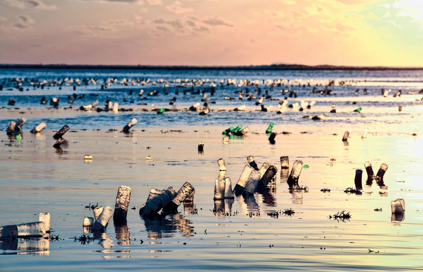 Plastik jest poważnym zagrożeniem głównie dla ekosystemów morskich.