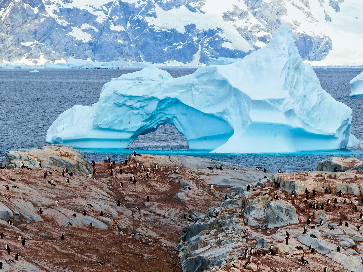 antarktyda-si-rozpuszcza-zostawione-na-lodzie-czyli-reporta-na