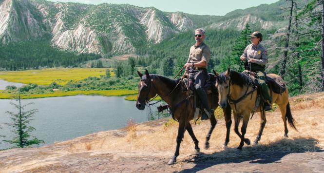 „Dzikość”, scen. Mark L. Smith i Elle Smith