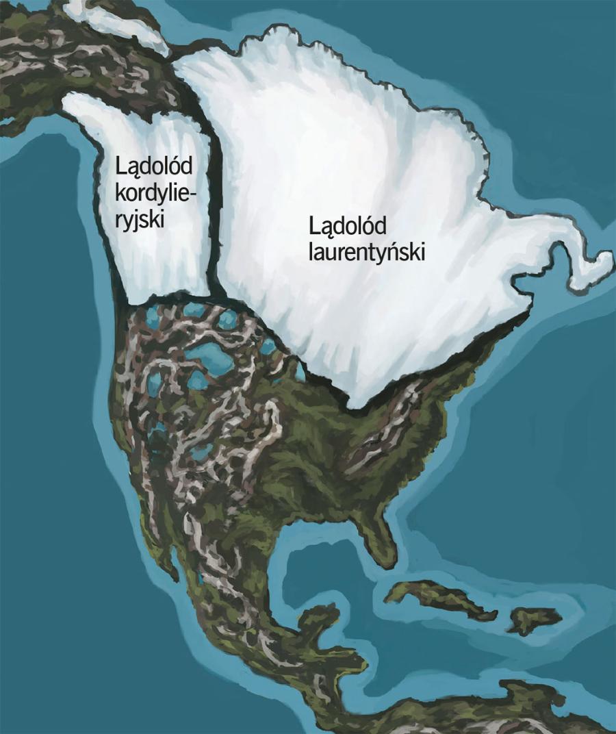 Podczas maksimum ostatniego zlodowacenia, przed 20 tys. lat, Amerykę Północną zablokowały dwa wielkie ­lądolody: kordylieryjski na zachodzie i laurentyński na wschodzie. Ocieplenie klimatu ­sprawiło, że blokada zaczęła się ­kurczyć, a przed 13–14 tys. lat pomiędzy masami lodu odsłonięty został szlak lądowy z północy na południe.