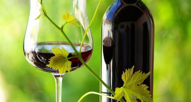 Okazuje się, że supersmakosze wcale nie mają przewagi w profesjach kulinarnych.